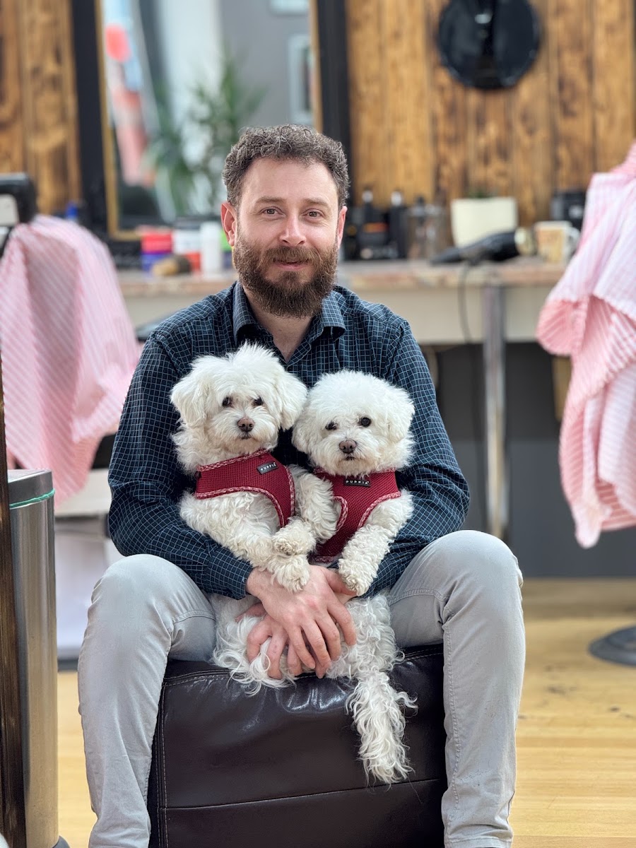 Im Atri Salon mit zwei kleinen Hunden
